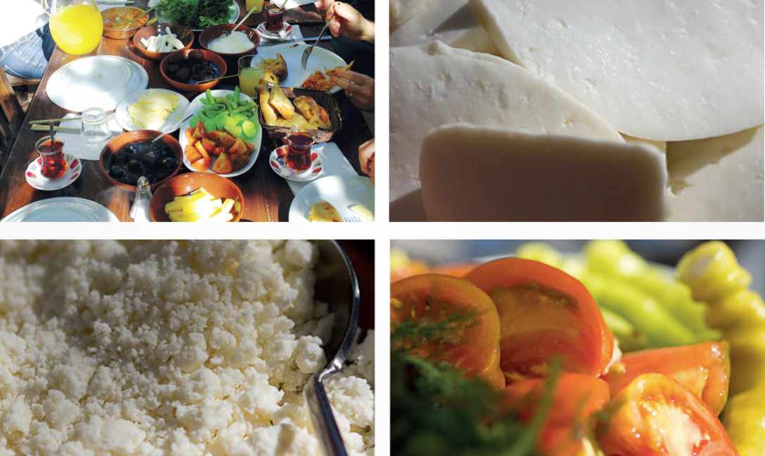 screen-shot-2016-11-23-at-10-14-59-pm